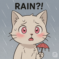 Rain Storm GIF by Persona