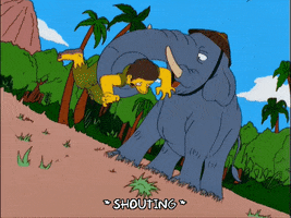 episode 8 elephant GIF