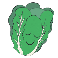 Illustration Salad Sticker