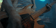 Band Bass GIF by Pure Noise Records
