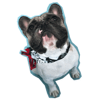 french shop Sticker by Humpty Dum
