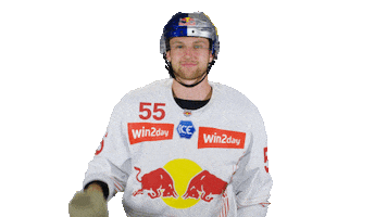 Beer Cheers Sticker by EC Red Bull Salzburg