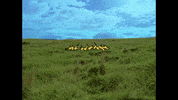Underthethunder GIF by Skegss