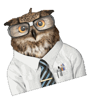 Owl Sticker by Inceptia