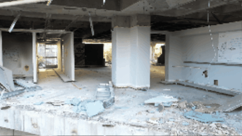 sydisenbergD7 giphygifmaker GIF