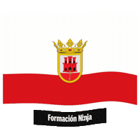 San Roque Flag Sticker by Formación Ninja
