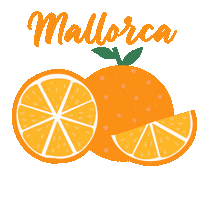 Palma De Mallorca Orange Sticker by 180gradsalon