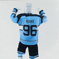 PelicansFi hockey mascot ice hockey pelicans GIF
