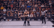 All Elite Wrestling GIF by AEWonTV