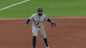 Celebrate Tampa Bay Rays GIF by MLB