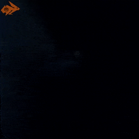 Role Playing Reaction GIF by Hyper RPG