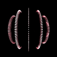 Animation Edm GIF by The3Flamingos
