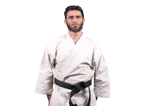 Martial Arts Thank You Sticker by RunbenGuo