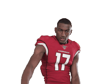 Arizona Cardinals Football Sticker by NFL