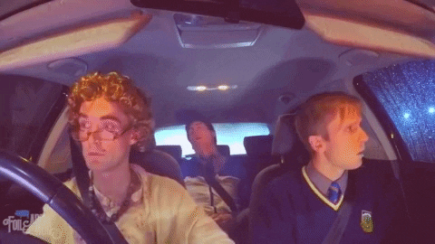 Sing Mamma Mia GIF by FoilArmsandHog