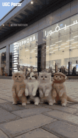 Cat Dancing GIF by UGCPazar