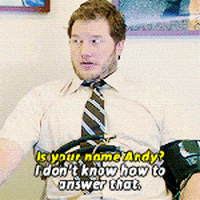andy dwyer GIF