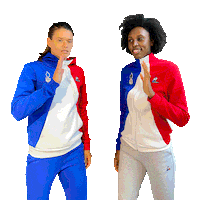 High Five France Sticker by Le Coq Sportif