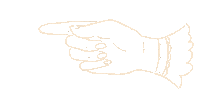 Check It Out White Lines Sticker by Bonnie Christine