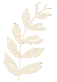 Leaves Boho Sticker by Bonnie Christine