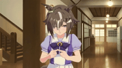 Umamusume Ship GIF