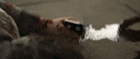 Chris Stuckmann Horror GIF by NEON