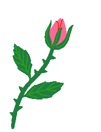 Day Love Sticker by Bodil Jane