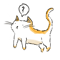 cat what GIF by hoppip