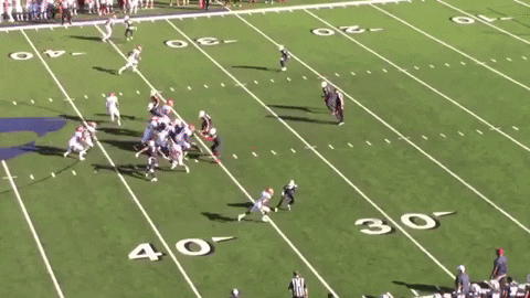 ryansterritt giphygifmaker GIF