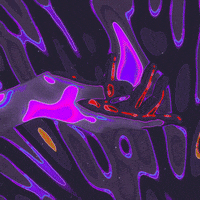 Loop Rainbow GIF by Toke