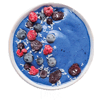 NinjaKitchen breakfast blender smoothie smoothies Sticker