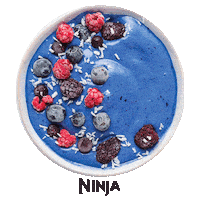 NinjaKitchen breakfast blender smoothie smoothies Sticker