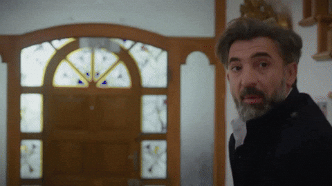 Scream Bahar GIF by Show TV