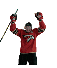 Goal Hockey Sticker by Avangard