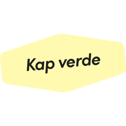 Travel Spies Sticker by Vingresor