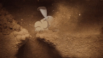 Bunny Digging GIF by Pokémon