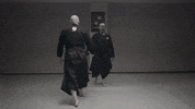 martial arts ninjutsu GIF by AKBAN Academy