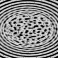 GIF by Adam Ferriss
