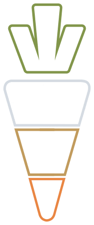 bacon salad Sticker by Saladworks