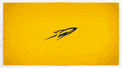 Ncaa GIF by Toledo Rockets
