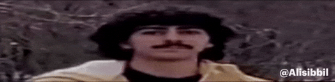 alisibbil what wtf surprised poker face GIF