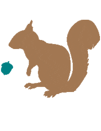 south carolina logo Sticker by Coastal Carolina University