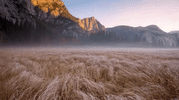 the dawn wall rock climbing GIF by The Orchard Films