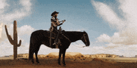 a glimpse inside the mind of charles swan iii GIF by A24