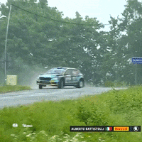 FIA-ERC fail racing monday oh no GIF