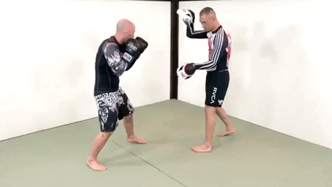 ritchieyip giphygifmaker boxing cross hook GIF