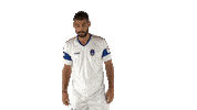 ddfc marticrespi Sticker by Indian Super League