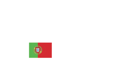 Racing Drive Sticker by Lamera Cup