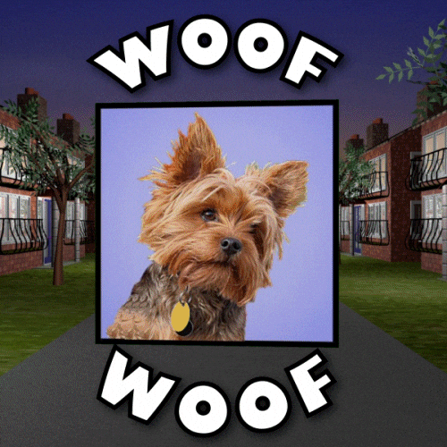 Love Dogs Dog GIF