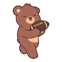 Super Bowl Win Sticker by BEARISH
